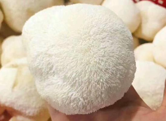 猴头菇怎么泡发 洗净清水浸泡2小时-图2