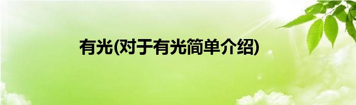 有光(对于有光简单介绍)