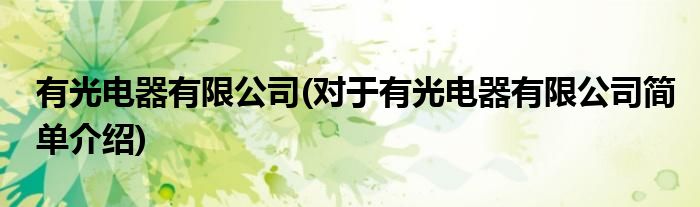 有光电器有限公司(对于有光电器有限公司简单介绍)